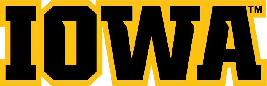 Iowa Hawkeyes 2012-Pres Wordmark Logo iron on transfers for clothing